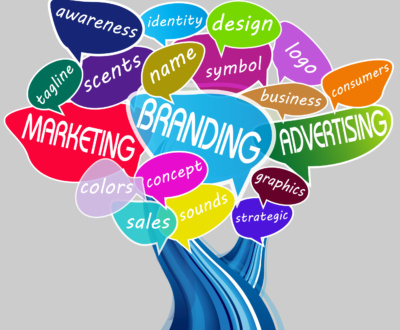 free seo services near me