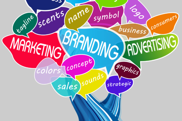 free seo services near me